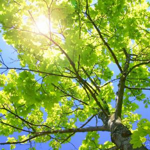 欧美日韩精品一区二区三区视频播放
